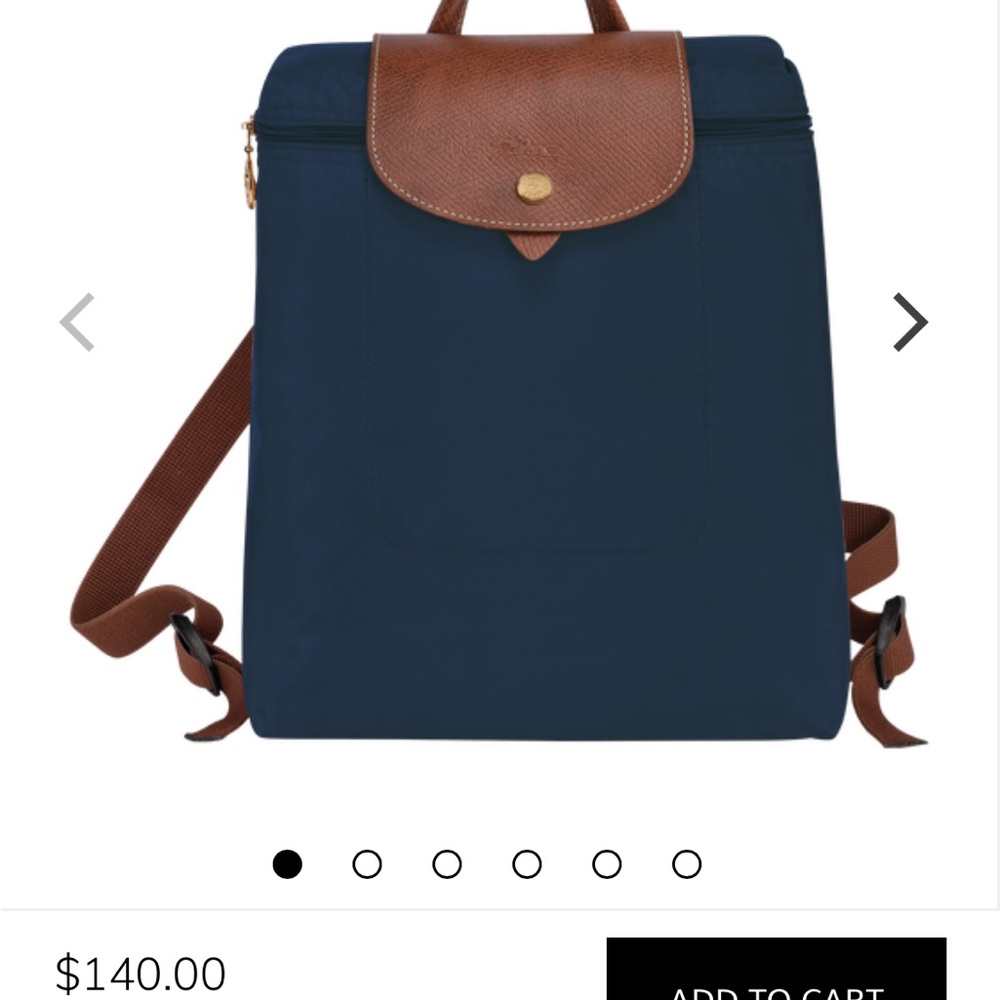 Longchamp Backpack